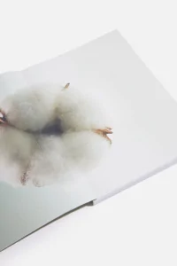 Centre Commercial | LIVRES & MAGAZINES MAGAZINE SUBSTANCE JOURNAL N...
