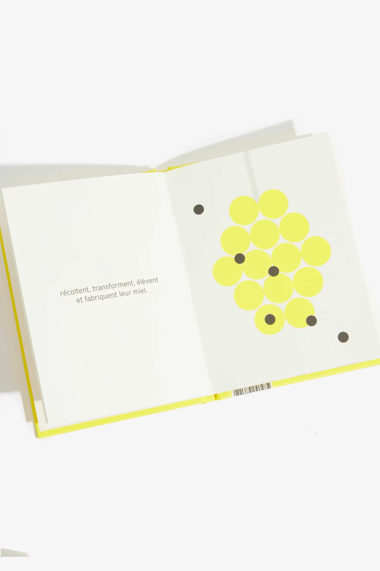 The Bee By Saint Simon, Société Française du Livre