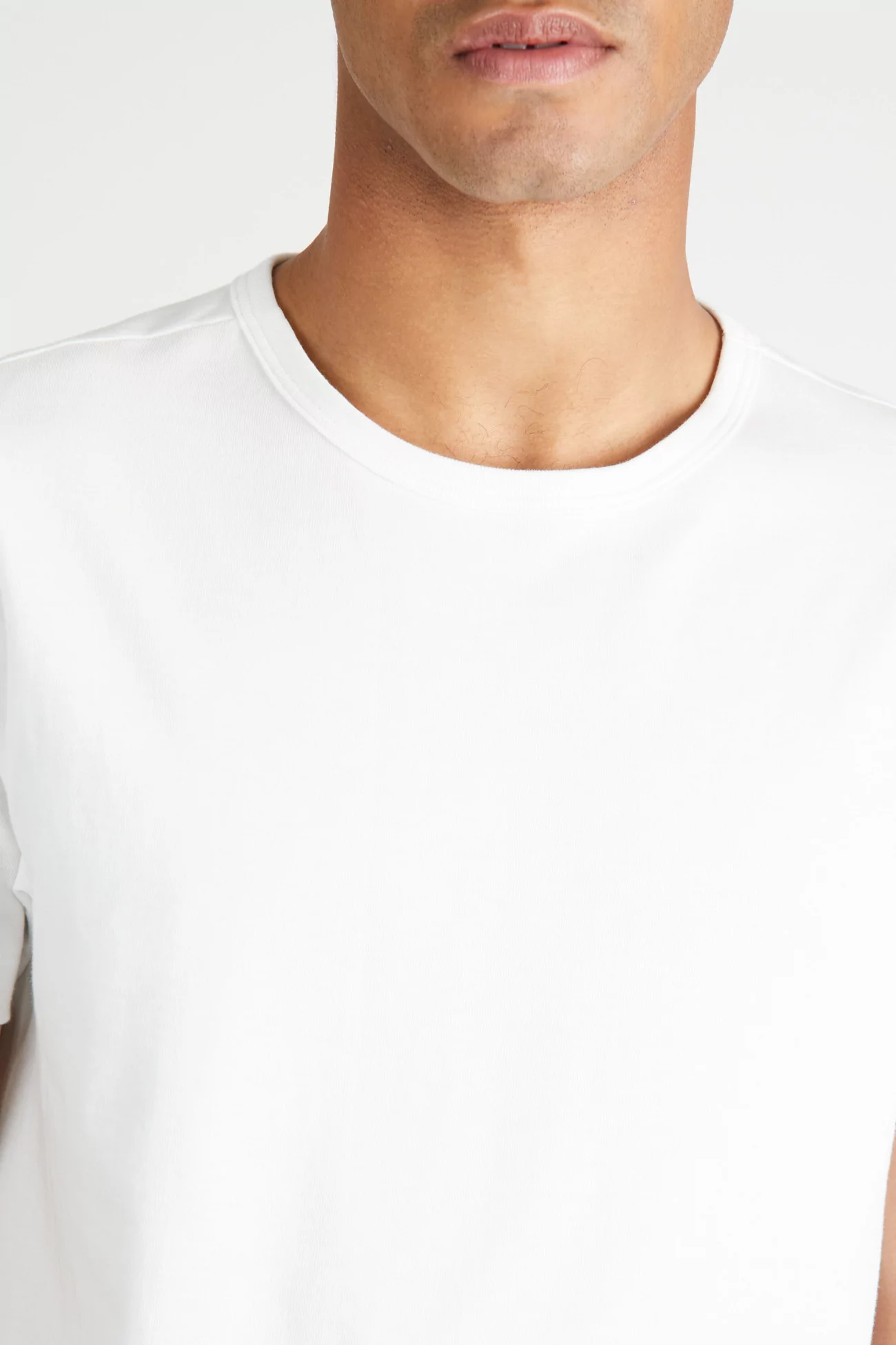 T Shirt 215, Merz B Schwanen