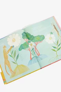 Flower of salt, HACHETTE LIVRE