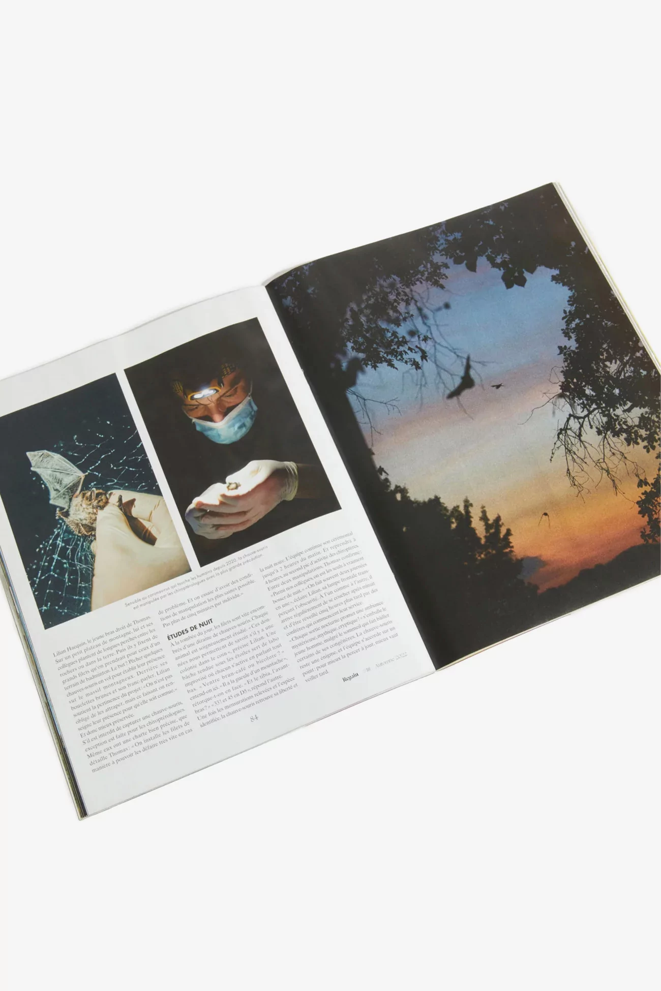 Regain Magazine N°18
