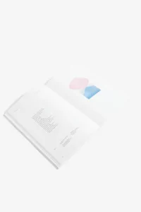 SEVE REVUE LITTERAIRE VOLUME 1 SEVE EDITIONS