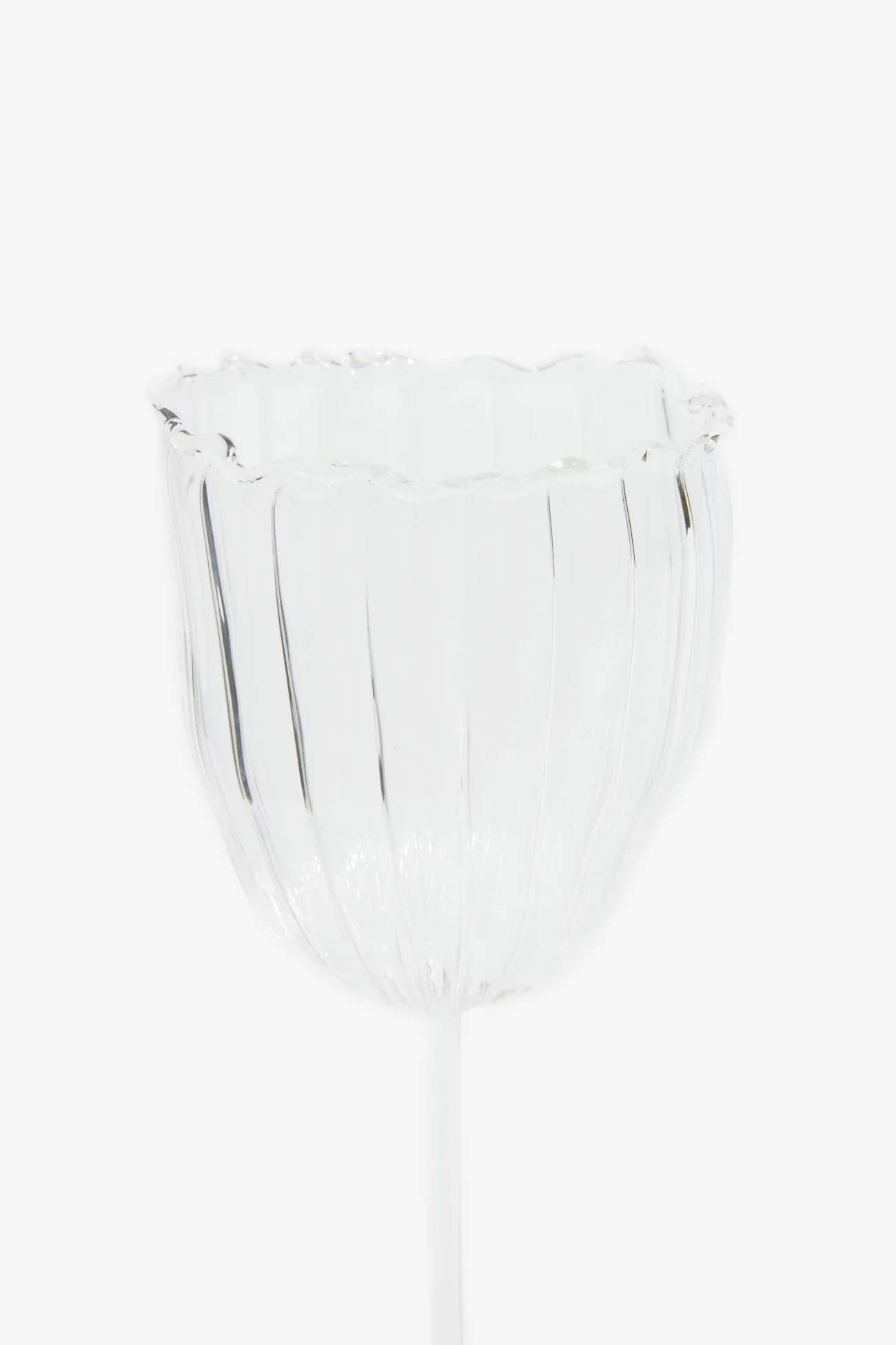 Tulip Glass, ULYSSE SAUVAGE