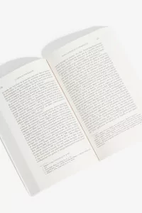 Le Désir de Nouveautés, Jeanne Guien
