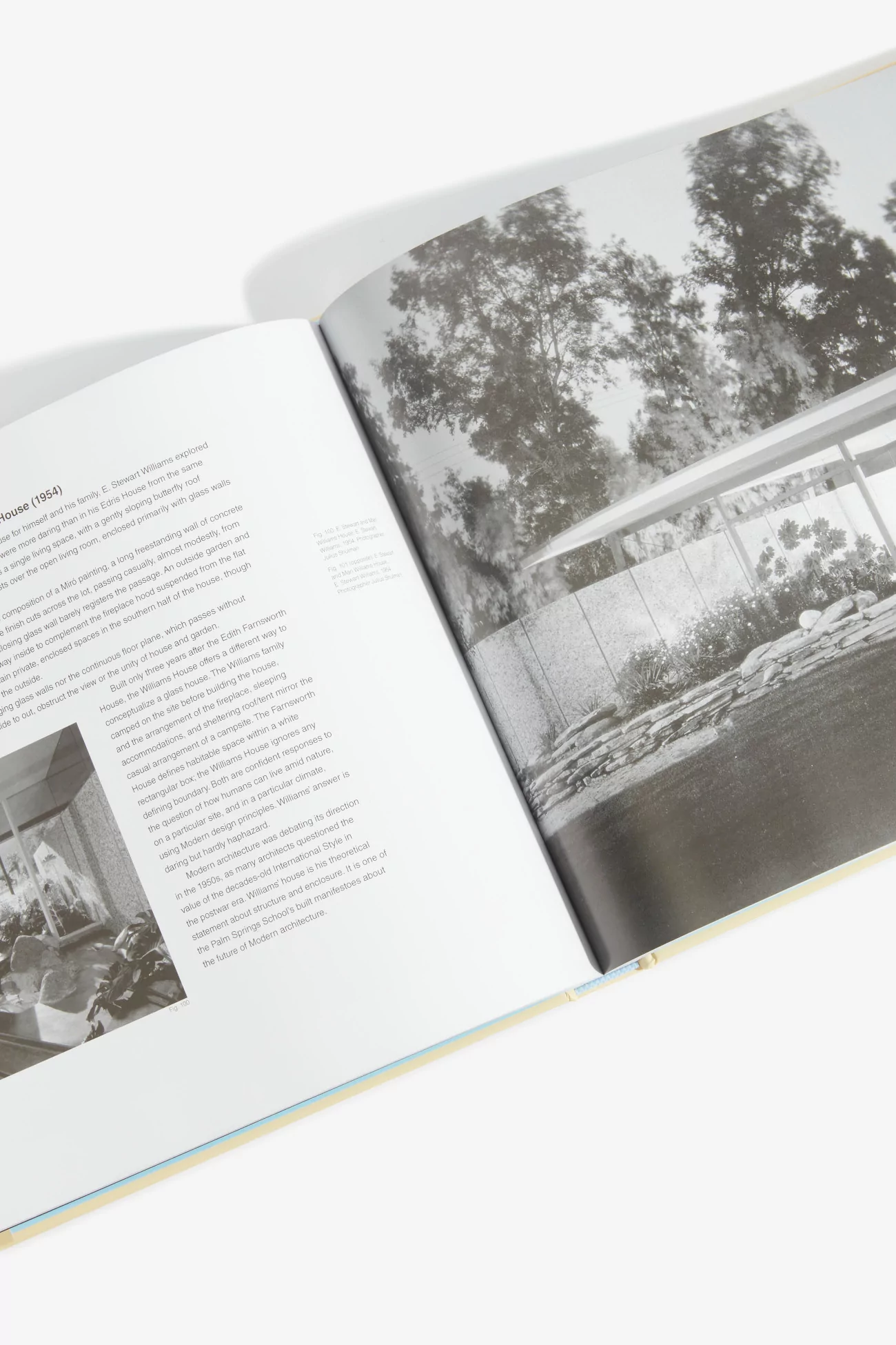 The palm springs school : Desert modernism 1934-1975