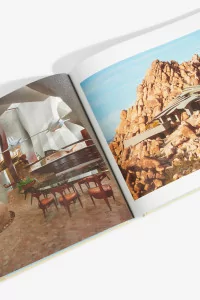The palm springs school : Desert modernism 1934-1975