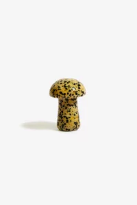 Dalmatian Stone Gua Sha The Gua-Shroom - Herbar | Centre Commercial