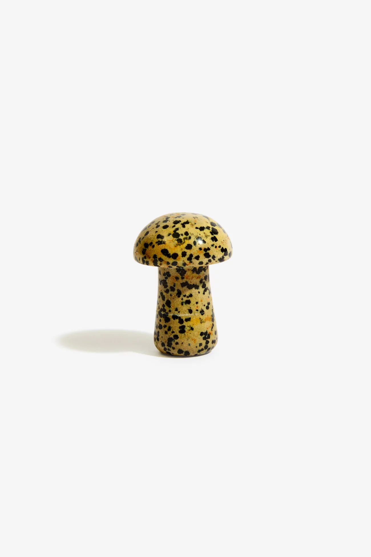 Dalmatian Stone Gua Sha The Gua-Shroom - Herbar | Centre Commercial