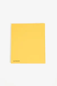 New York Living Rooms - Dominique Nabokov Book | Centre Commercial