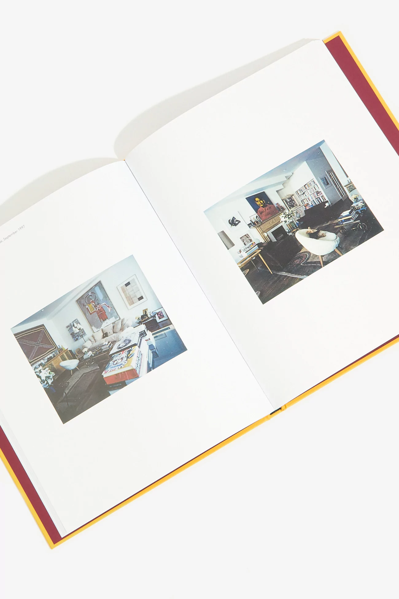 New York Living Rooms - Dominique Nabokov Book | Centre Commercial