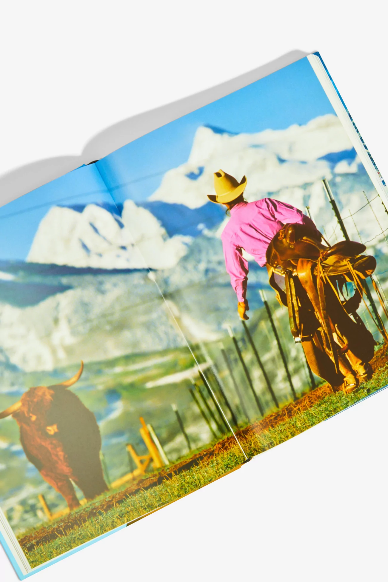 Discover Unexpected, the Patagonia outdoor photography book. 220