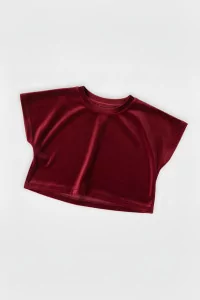 Cropped Sweatshirt Baby Organic Cotton Earth The Archive – Vintage Red | Centre Commercial