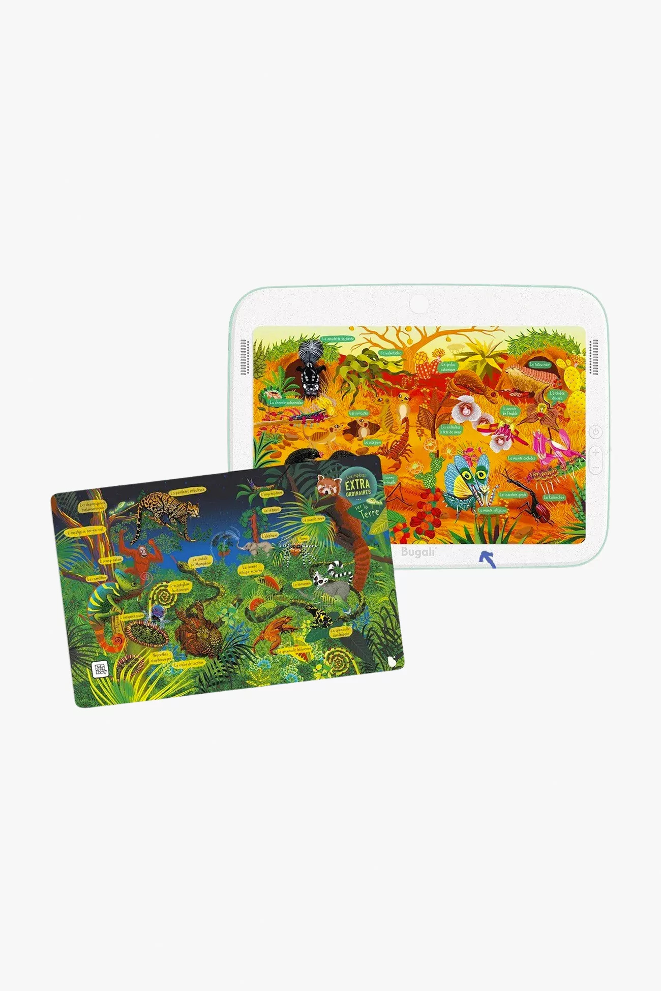 Zoom Interactive Cards Set from 5 Years – Bugali | Centre Commercial