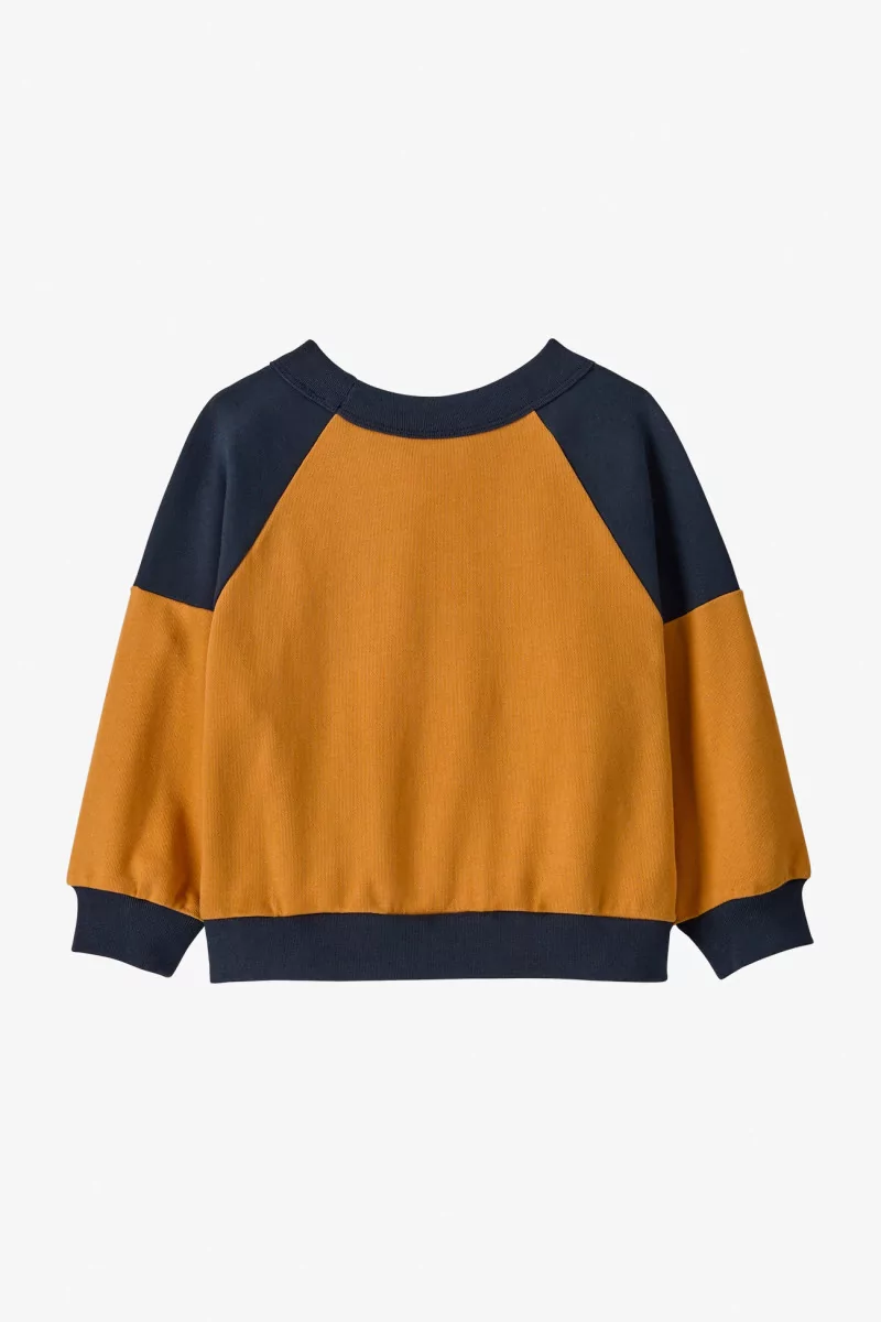 Patagonia Baby Crew Cotton Sweatshirt – Dried Mango | Centre Commercial