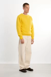 Pull Homme Laine Shetland Col Rond - Gorseflower | Centre Commercial