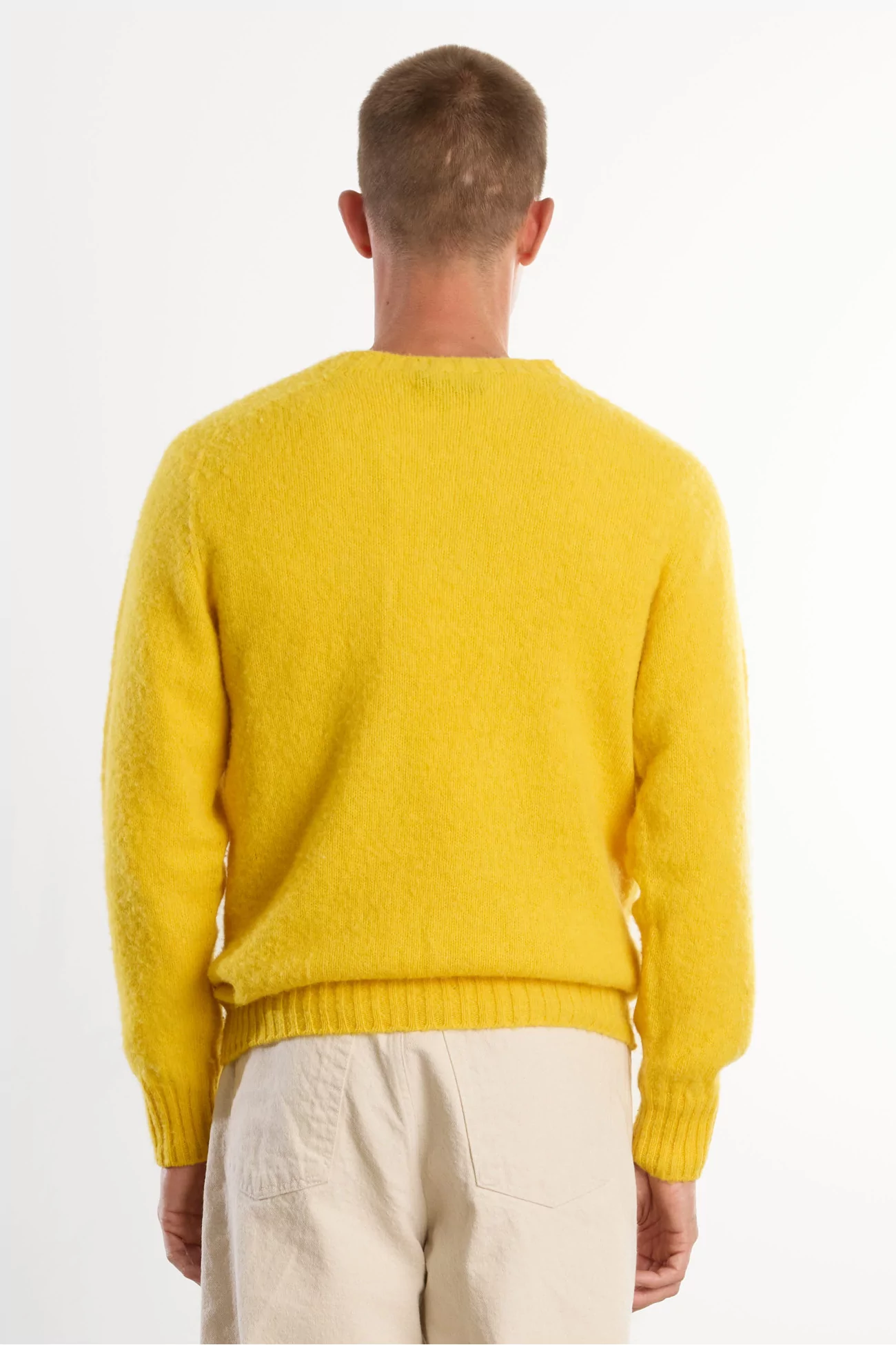 Men's Shetland Wool Crew Neck Sweater - Gorseflower | Centre Commercial