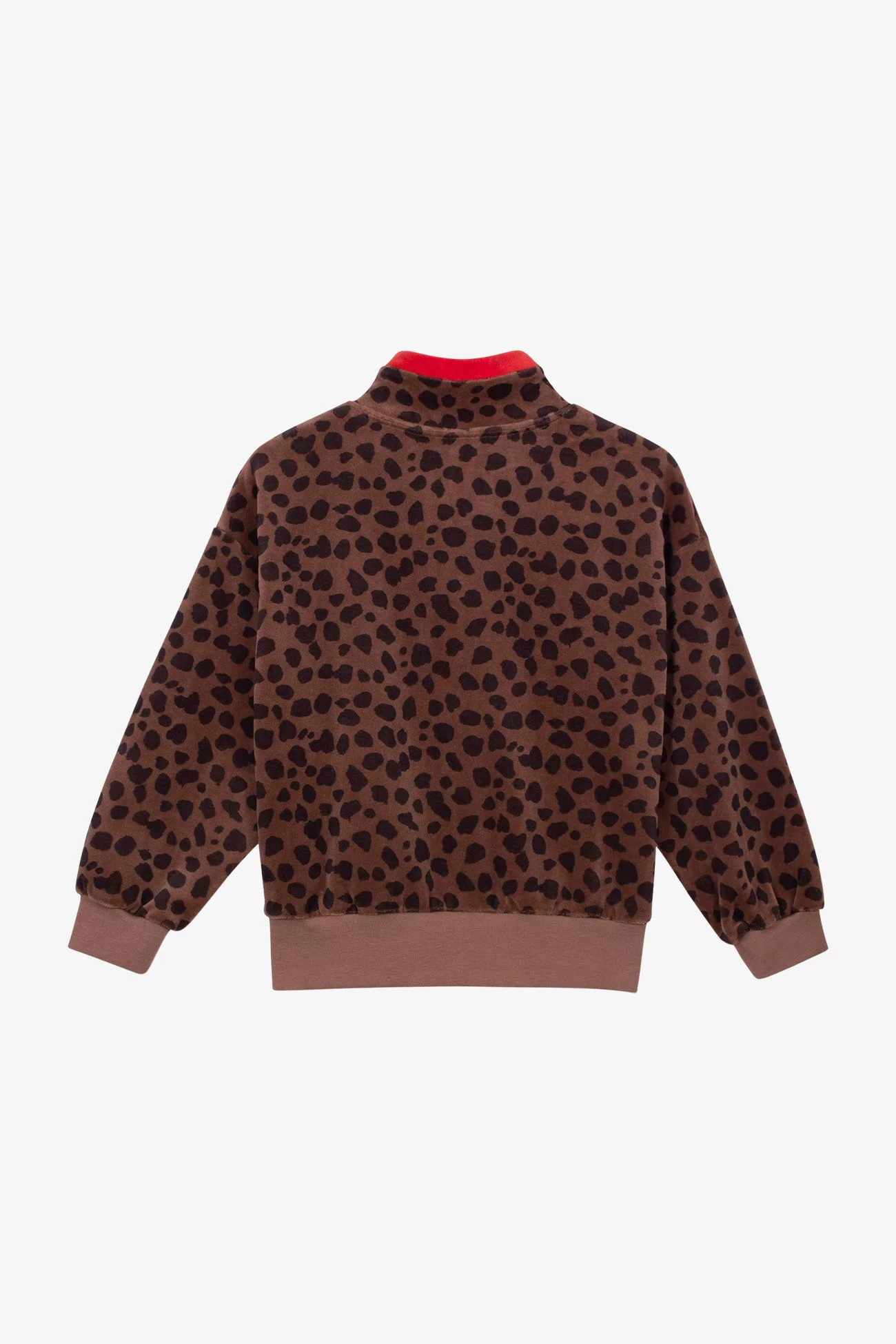 Sweat Enfant Coton Bio Animal Paint – Cocoa Animal | Centre Commercial